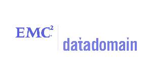 emc-data-domail-blue