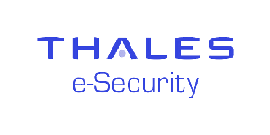 thales-esecurity-blue
